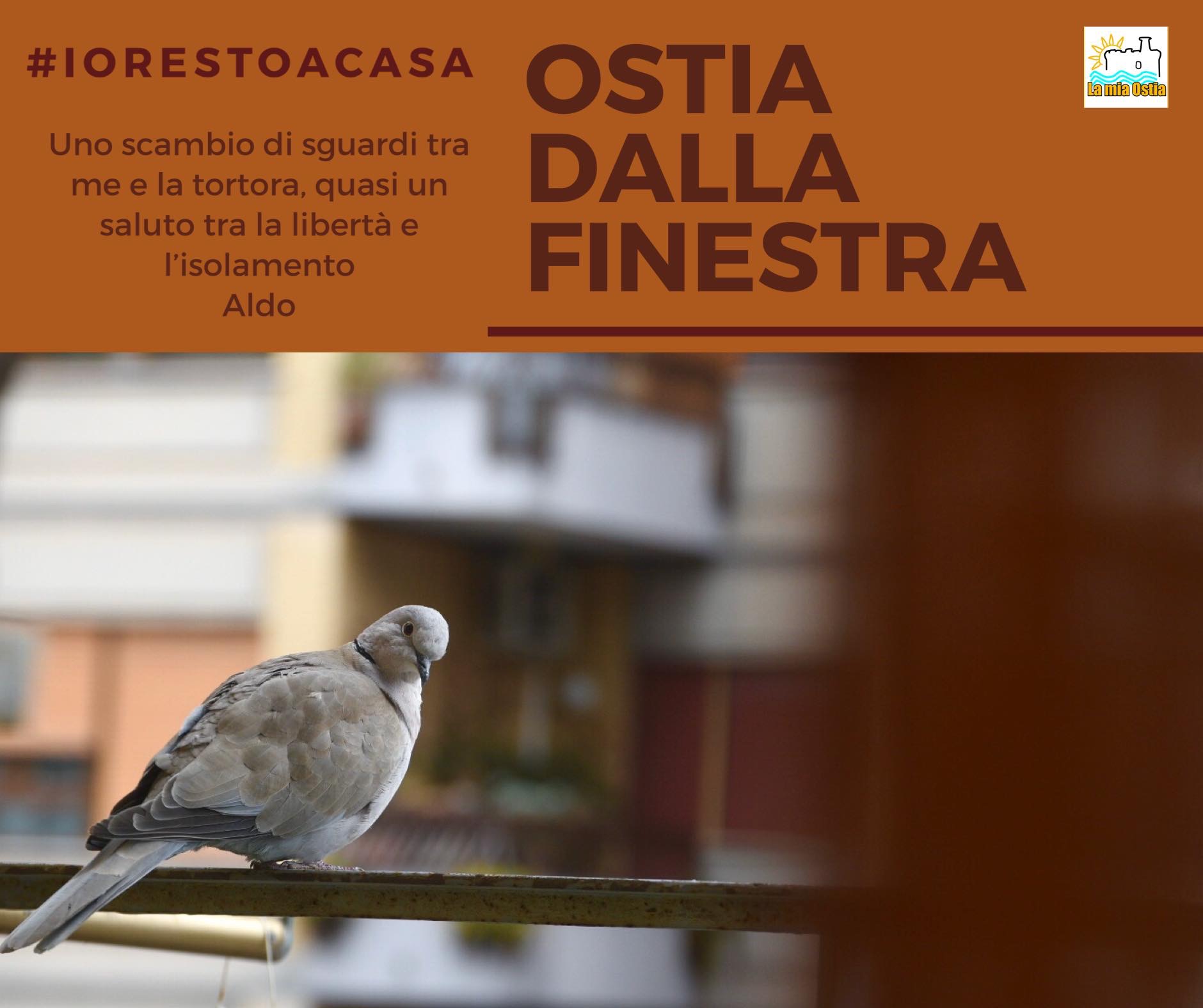 Ostia dalla finestra: mese di marzo